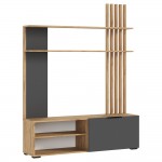 Гостиная Роджина, Графит, Дуб крафт