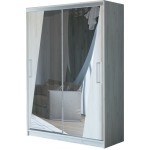 Шкаф-купе ПШ 2.9 