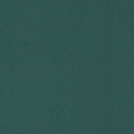 Пенал многоцелевой (стекло) Орион СТ-09