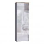 Шкаф для одежды Октава 13.338, Серый графит, Дуб золотой