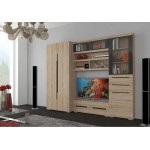 Гостиная Эколь Вариант №1, Дуб сонома