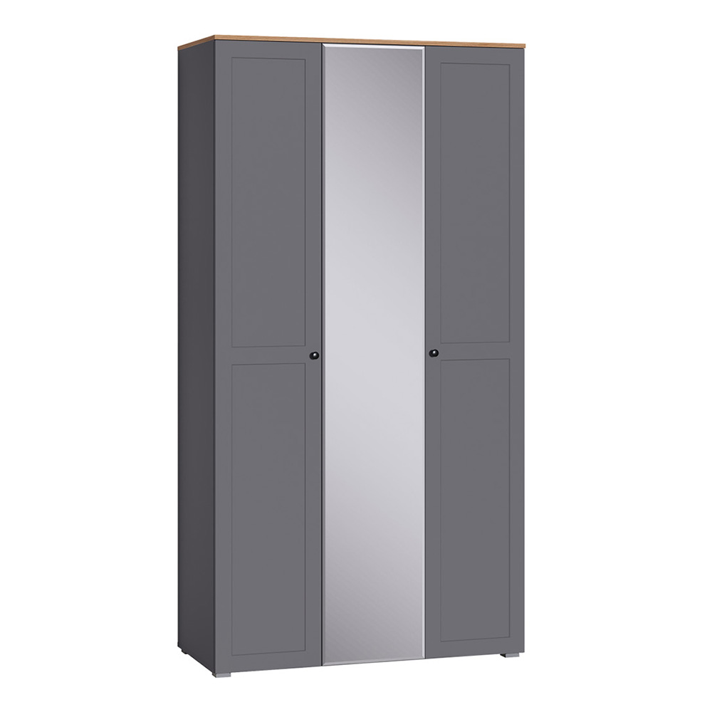 Шкаф для одежды 13.336.03, Серый графит, Дуб золотой