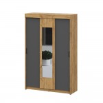 Шкаф-купе Вена ШК 101, Дуб золотой, Графит серый