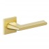 SGold/SG