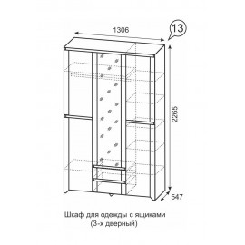 Шкаф для одежды Твист 13