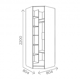 Шкаф угловой для одежды Богуслава М3