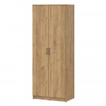 Шкаф распашной ШК 2, Дуб золотой